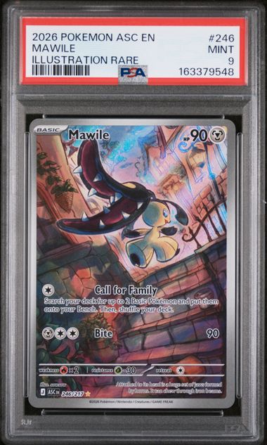 2026 POKEMON ASC EN-ASCENDED HEROES #246 MAWILE ILLUSTRATION RARE