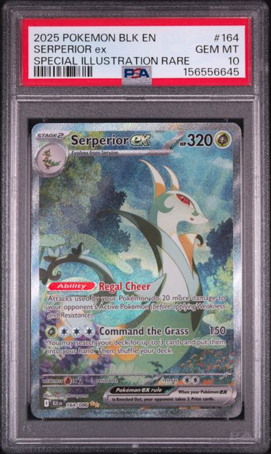 2025 POKEMON BLK EN-BLACK BOLT #164 SERPERIOR ex SPECIAL ILLUSTRATION RARE PSA 10. SC1