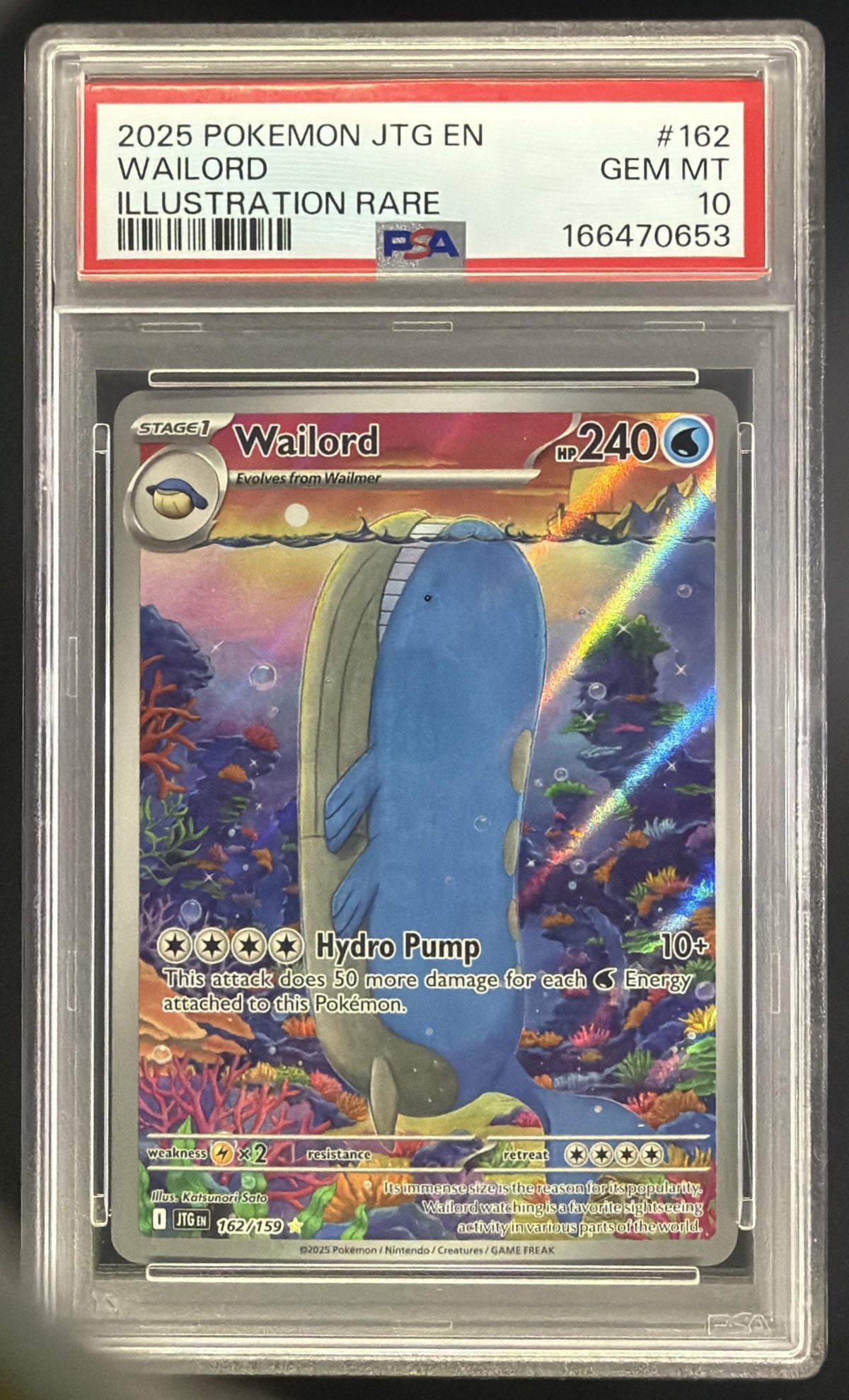 Wailord front image