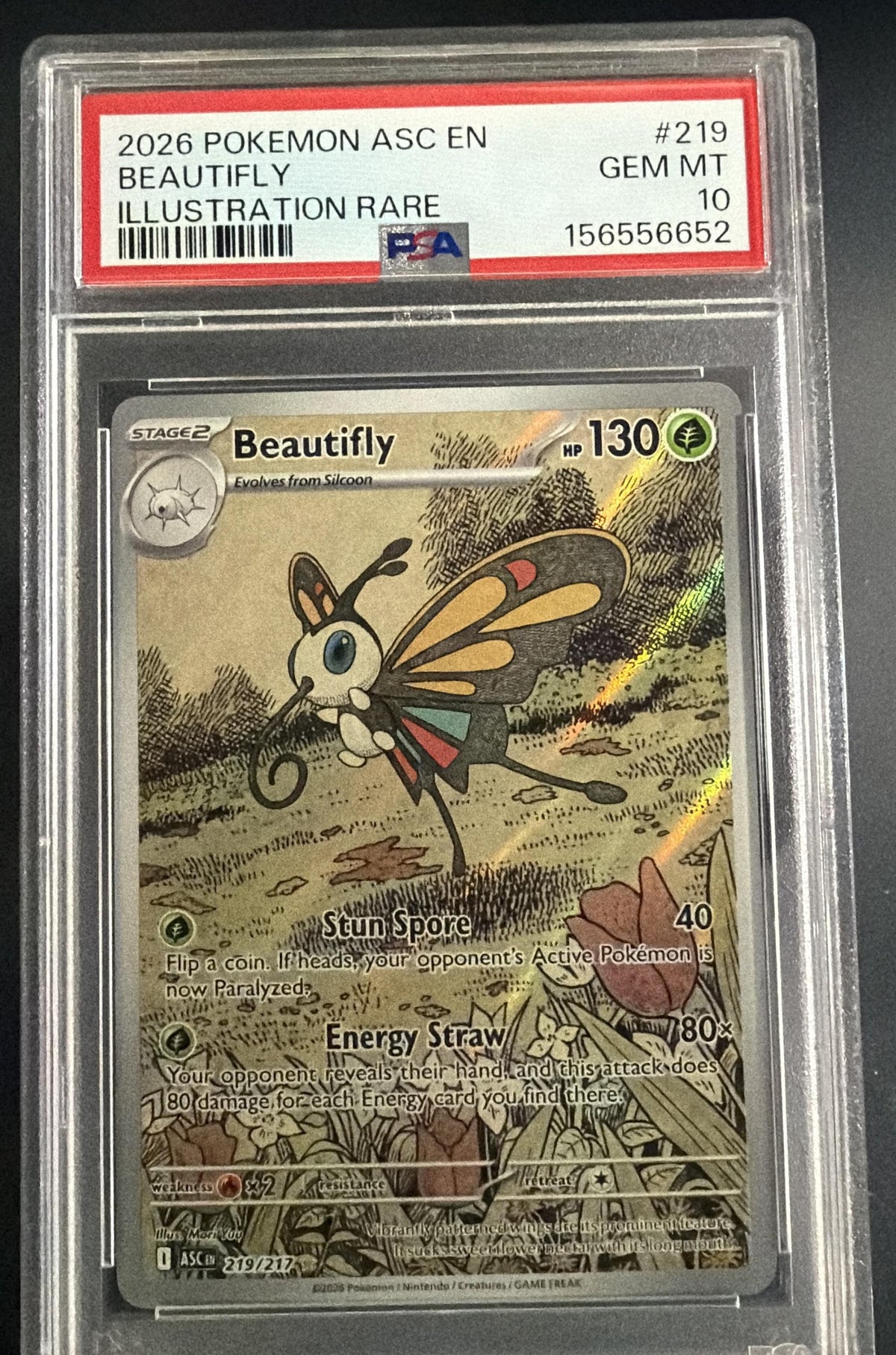 Beautifly front image
