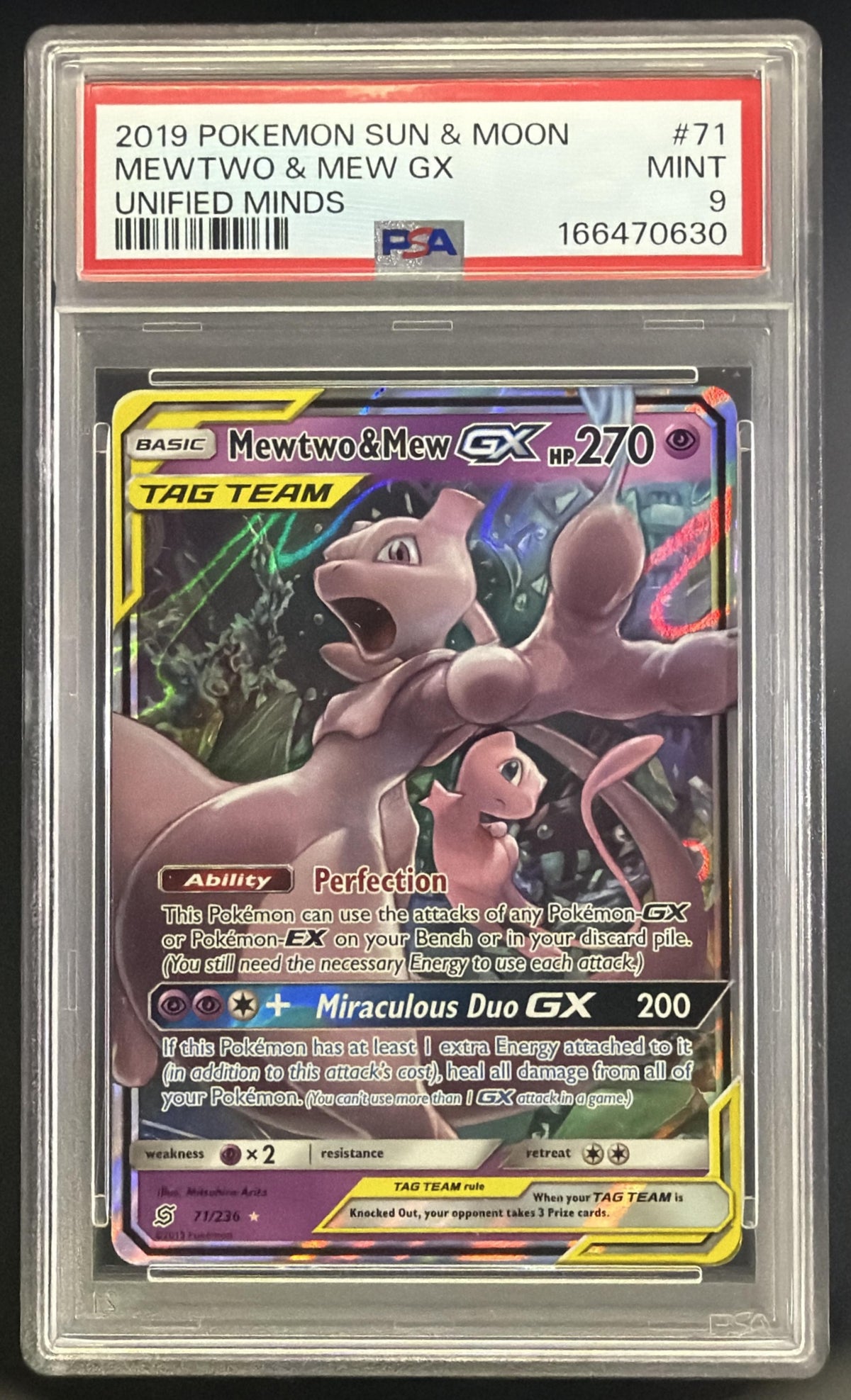 Mewtwo & Mew Tag Team  front image