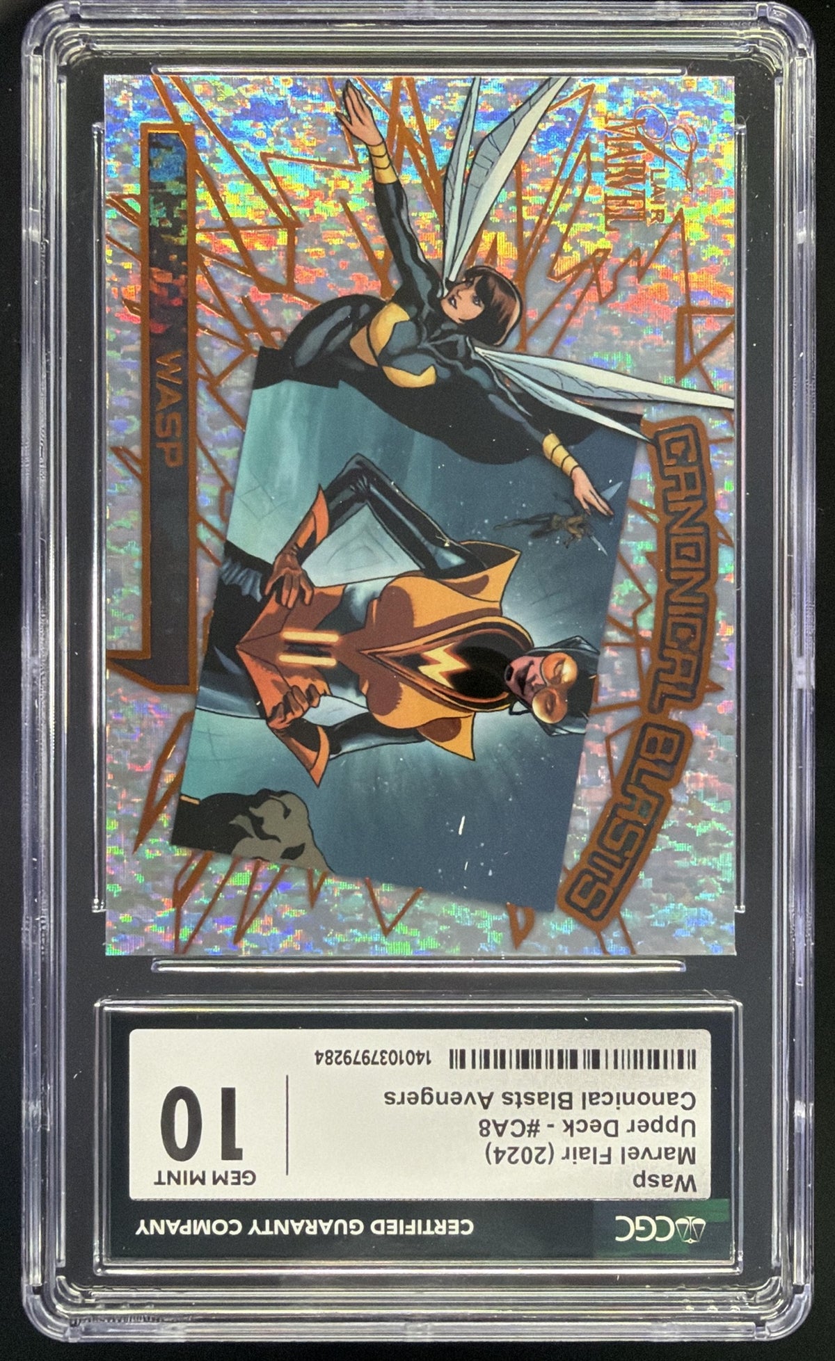 Wasp front image
