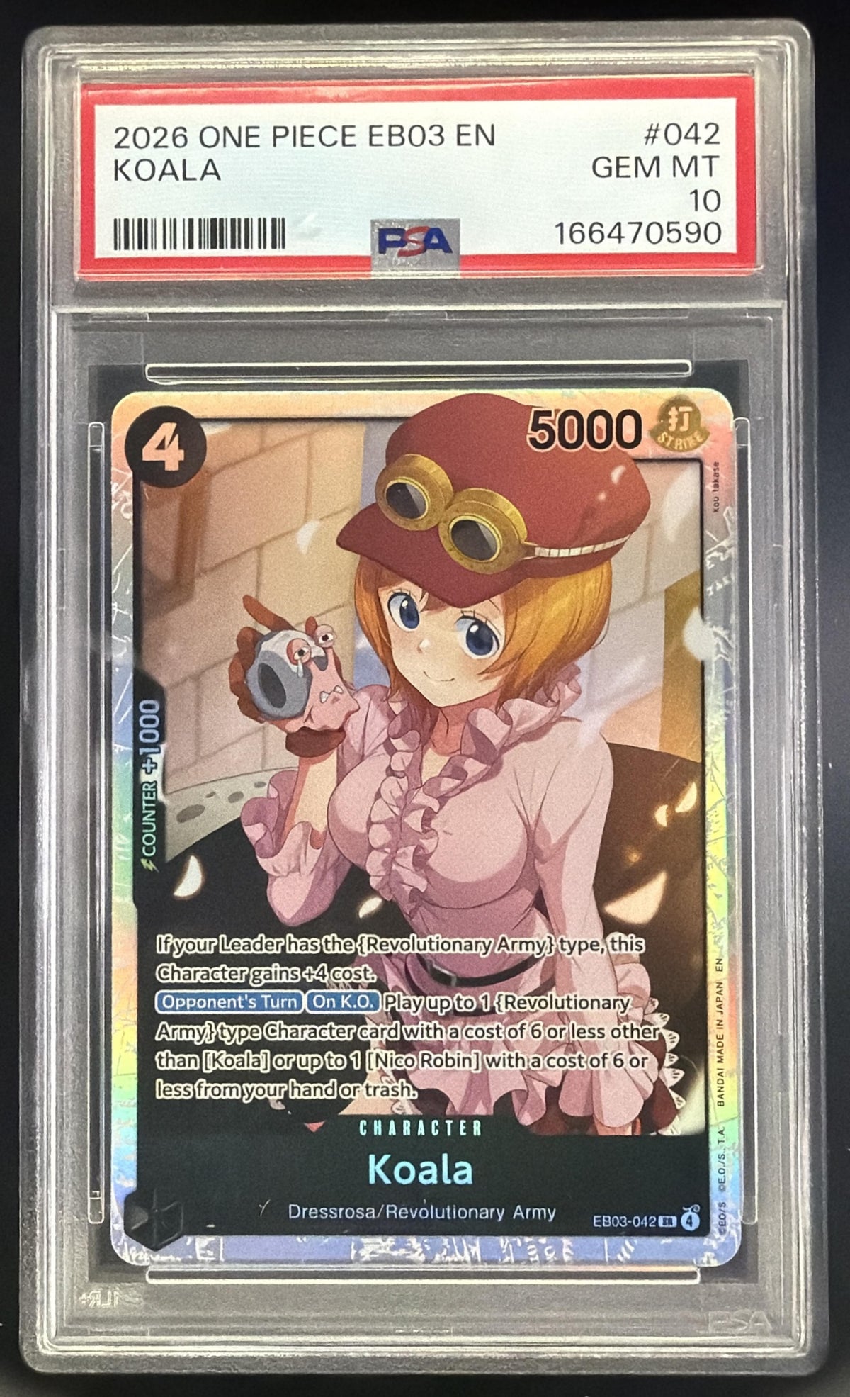 Koala front image