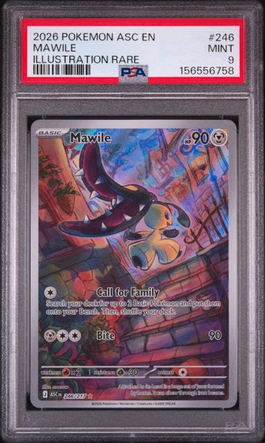 2026 POKEMON ASC EN-ASCENDED HEROES #246 MAWILE ILLUSTRATION RARE PSA 9 SC1